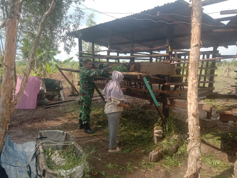 Babinsa Koramil 01/Dumai Pastikan Hewan Ternak di Tanjung Palas Sehat
