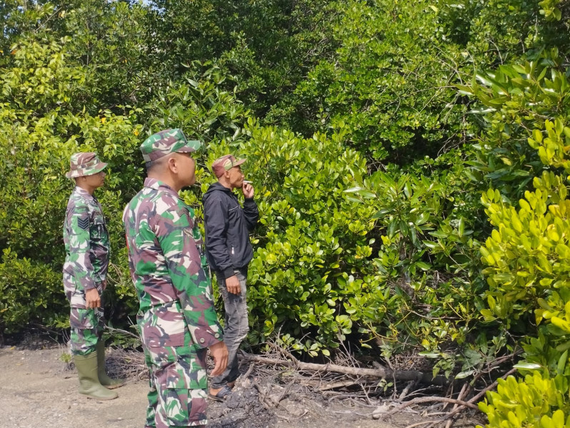 Rutin Patroli, Babinsa Koramil 06/Merbau Berupaya Cegah Pembakaran Hutan dan Lahan