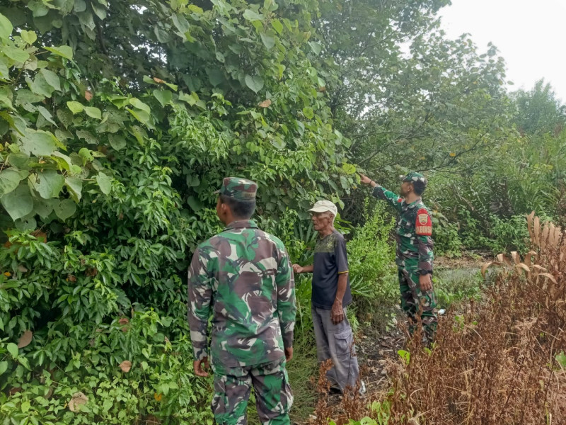 Mencegah Karhutla di Lahan Gambut Kering, Babinsa Praka Y. Gulo dan Pratu Roihan Patroli Desa Tanjung Pisang