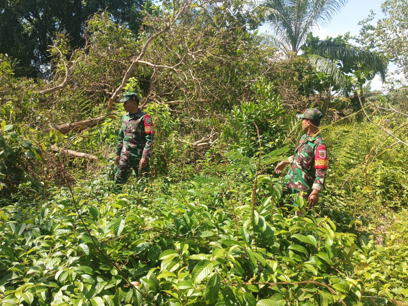 Babinsa dan Warga Bersinergi Pantau Wilayah Rawan Kebakaran di Pulau Merbau