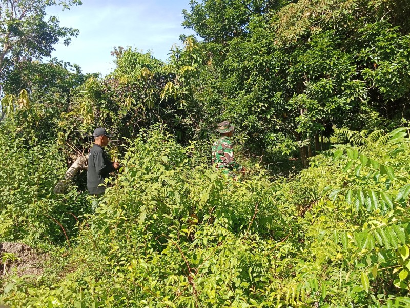 Babinsa Koramil 06/Merbau Patroli Karhutla di Desa Mengkirau Pastikan Aman