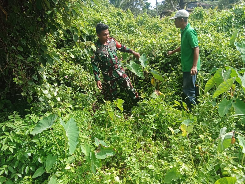 Pratu Roihan Tegaskan Pembakaran Lahan Bentuk Pelanggaran Hukum