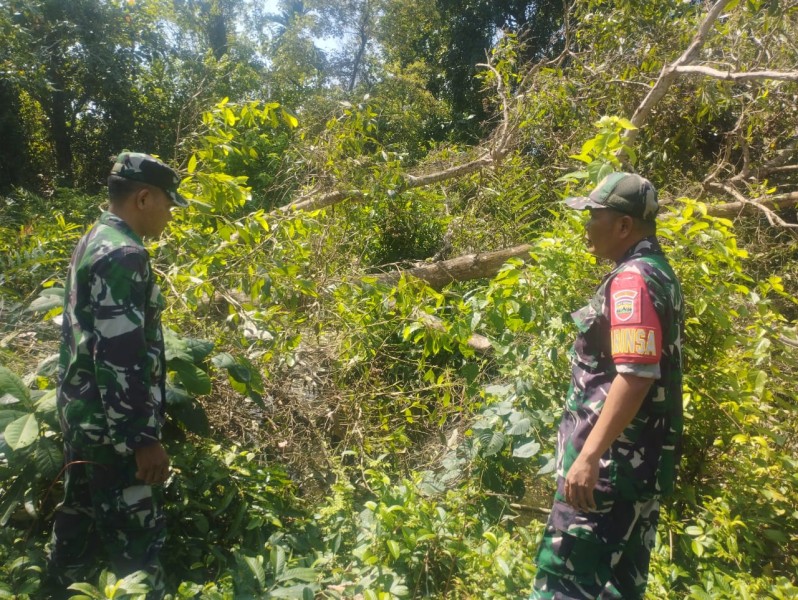 Patroli Rutin Babinsa Koramil 06/Merbau Guna Antisipasi Karhutla