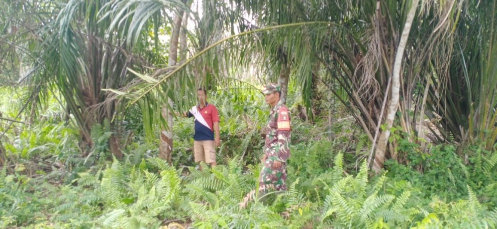 Cegah Karhutla, Babinsa Lakukan Sosialisasi Langsung ke Masyarakat Secara Langsung