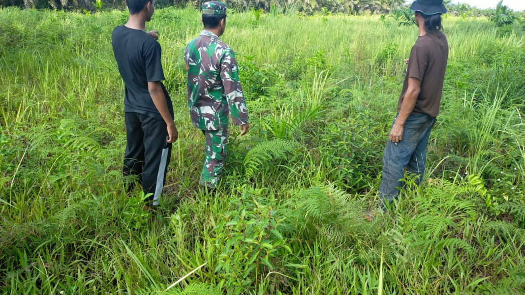 Inisiatif Serda Iwan Sahputra Dalam Upaya Pencegahan Karhutla