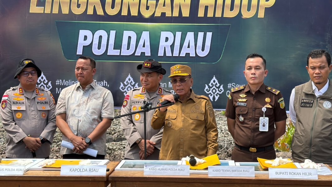 Ungkap Perusakan Mangrove, Imbau Masyarakat Tak Lagi Merusak Hutan