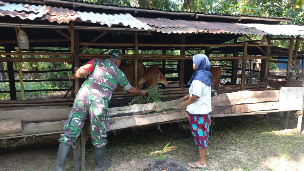 Peternak di Jalan Simpang Jepang Dapatkan Penyuluhan Dari Sertu Roni Sandra