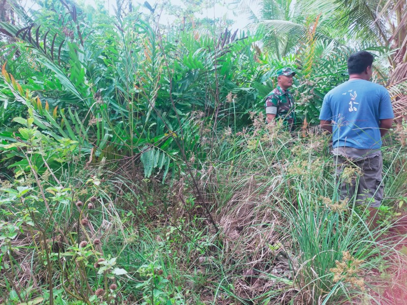Patroli Karhutla Babinsa Fokus Cegah Kebakaran Lahan Gambut