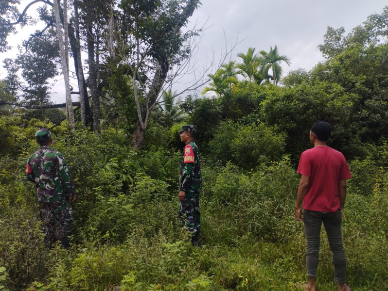 Pemantauan Hutan Tetap Dilakukan Oleh Babinsa Koramil 06 Merbau Meskipun Kondisi Memasuki Musim Penghujan