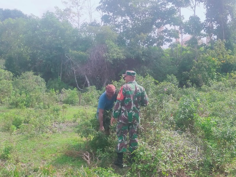 Karhutla Ditekan, Babinsa Intensifkan Sosialisasi Bahaya Buka Lahan dengan Cara Membakar