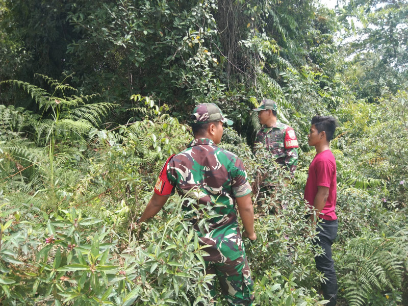 Patroli Babinsa Desa Mengkirau, Langkah Konkret Lindungi Hutan
