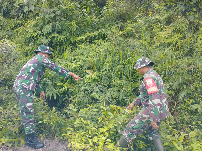 Babinsa Koramil 06/Merbau Gencar Lakukan Patroli Karhutla di Desa Ketapang Permai