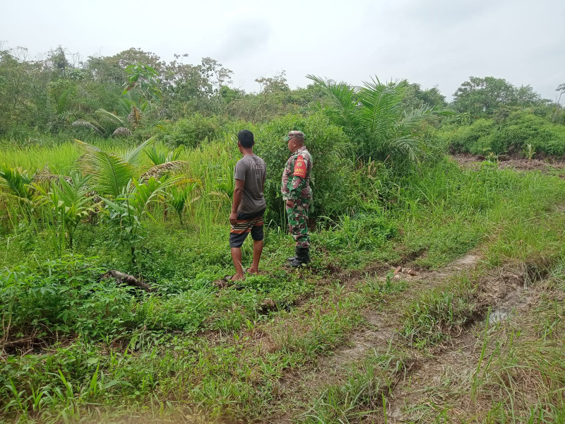 Babinsa Bagan Besar Laksanakan Patroli Karhutla dan Sosialisasi Pencegahan Kebakaran Hutan