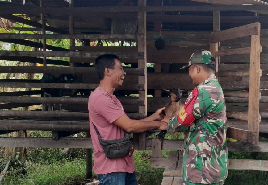 Ternak Warga Dipastikan Sehat, Babinsa Merbau Intensifkan Pemantauan PMK