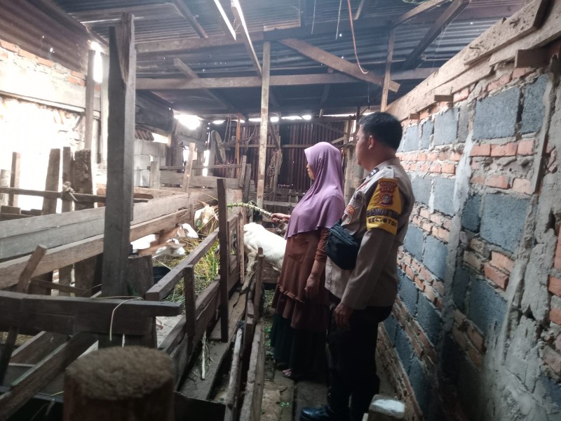 Tinjau Peternakan Warga, Bhabinkamtibmas Optimalkan Program Ketahanan Pangan Nasional di Dumai Barat