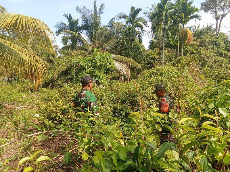 Antisipasi Karhutla, Babinsa Koramil 06/Merbau Edukasi Warga Meranti