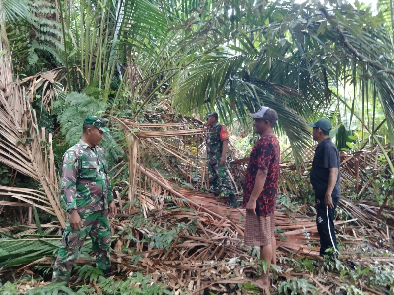 Penyisiran Wilayah Binaannya Untuk Mencegah Karhutla Dilaksanakan Babinsa Koramil 06 Merbau