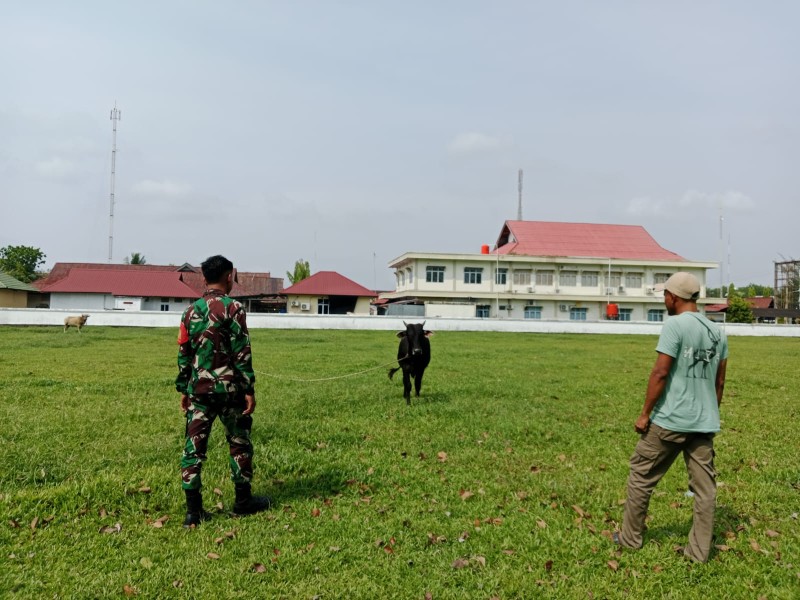 Pengawasan Diperketat, Babinsa Pastikan Tidak Ada Gejala PMK di Desa Mengkopot