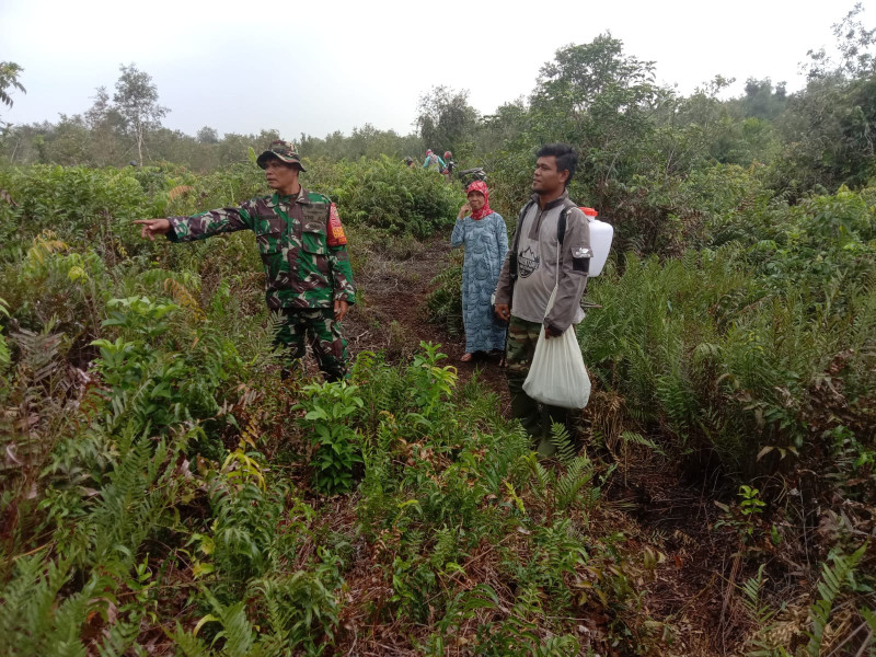 Mengindentifikasi Lahan Yang Rawan Kebakaran, Serda Agustinus Laksanakan Patroli