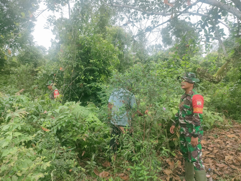 Babinsa Koramil 06/Merbau Lakukan Patroli Cegah Karhutla di Tasik Putri Puyu