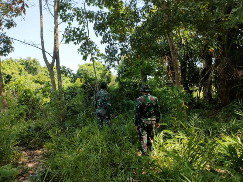 Serda Rian dan Pratu Hutagalung Aktif Cegah Kebakaran Hutan di Pulau Merbau