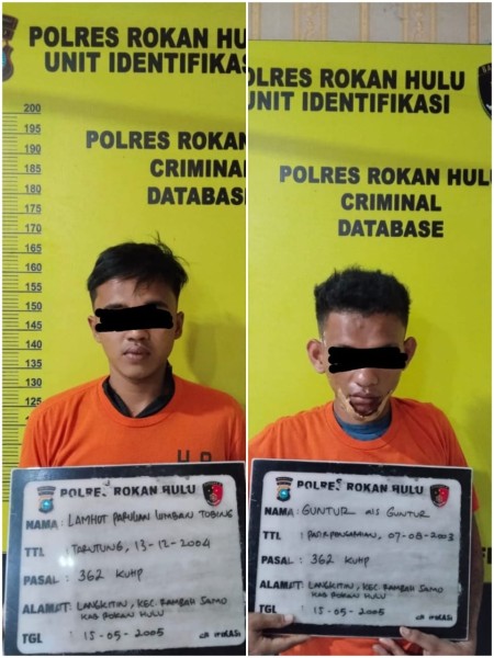 Sigap, Tim Resmob Polres Rohul Tangkap Dua Pelaku Tindak Pidana Pencurian Sepeda Motor