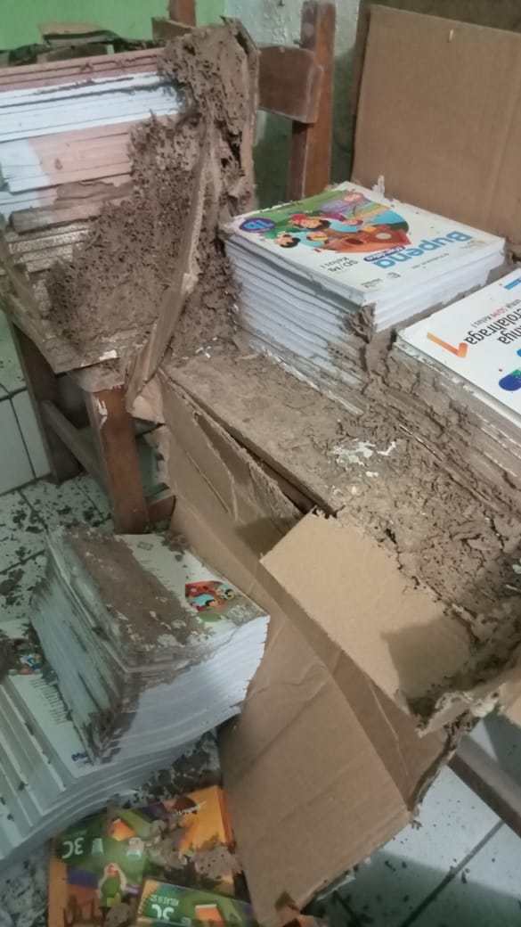 Hama Rayap Merusak Buku di SD Negeri 105289 Kampung Kolam