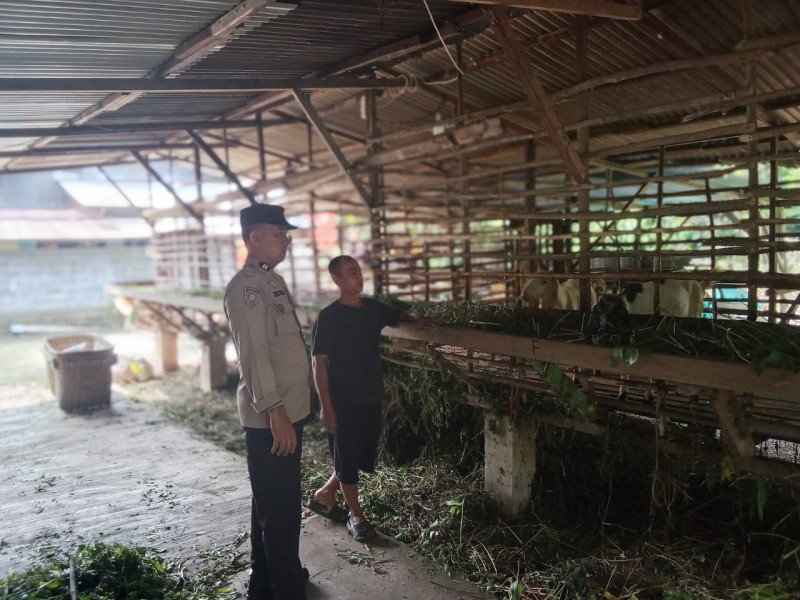 Ketahanan Pangan, Bhabinkamtibmas Pantau Peternakan Kambing di Bagan Keladi