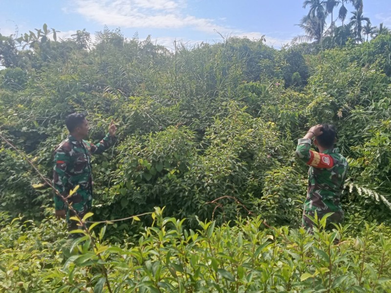 Patroli Babinsa di Meranti Bunting, Ajak Warga Cegah Karhutla Sejak Dini