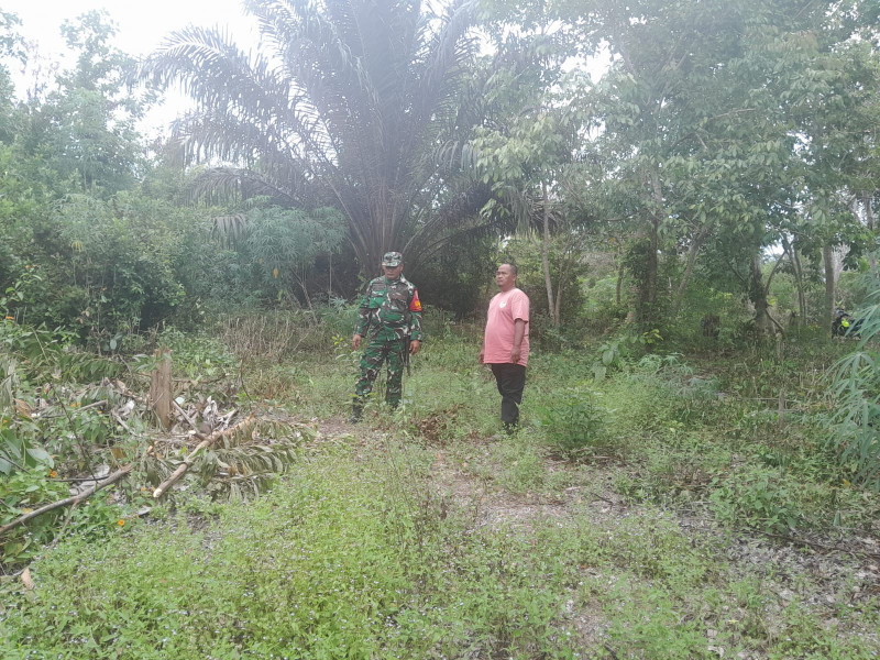 Babinsa Kelurahan Bukit Timah Gencar Patroli Karhutla di RT 3