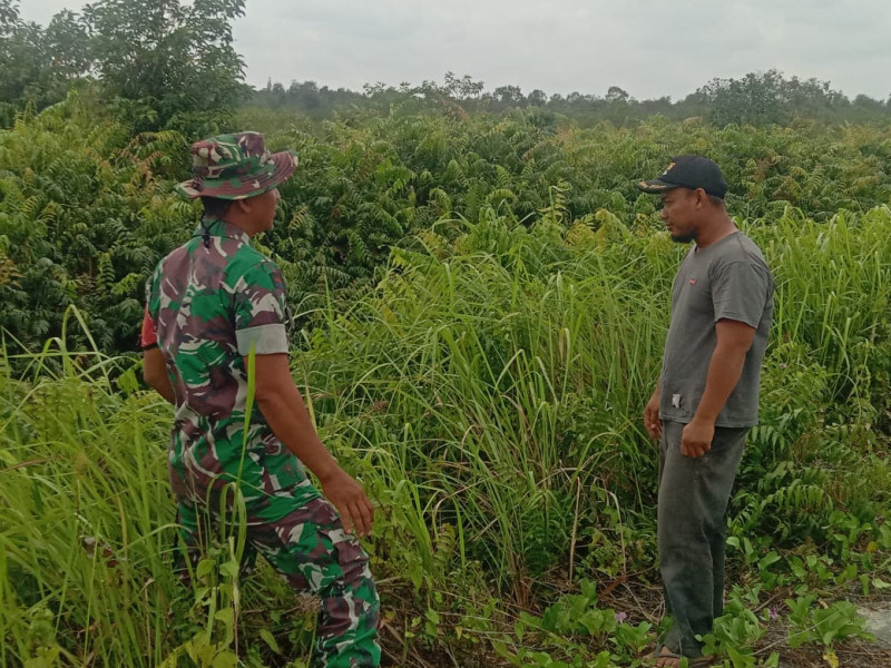 Pengecekan Aktivitas Masyarakat di Hutan, Serda Priyo Laksanakan Patroli