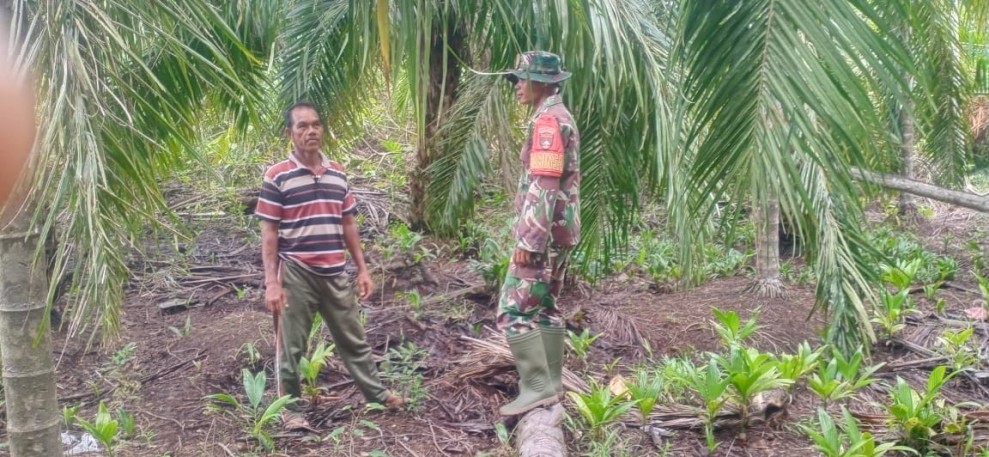 Cegah Karhutla Sejak Dini, Babinsa Serda C.J. Silalahi Edukasi Warga dan Sisir Lahan Gambut Desa Lukit