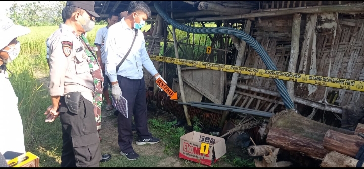 Warga Desa Triguno Pucakwangi Digegerkan Dengan Penemuan Bayi Perempuan Didalam Kardus