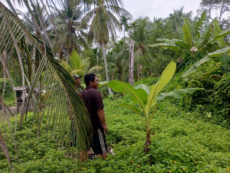 Lewat Patroli dan Komsos, Babinsa Ingatkan Warga Bahaya Buka Lahan dengan Cara Membakar