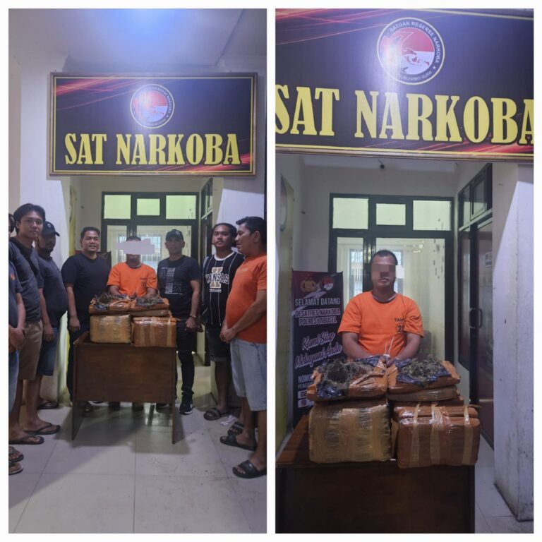 Bawa 26 Kg Ganja, Pelaku Narkotika Ditangkap Usai Coba Kabur dari Polisi