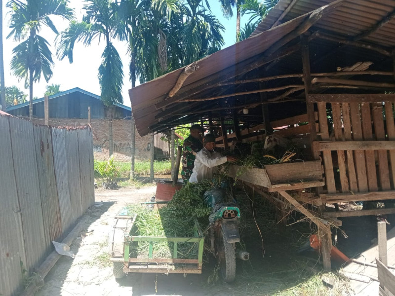 Cegah Penyakit Mulut dan Kuku, Babinsa Koramil 01/Dumai Lakukan Pendampingan Pada Peternak Kambing