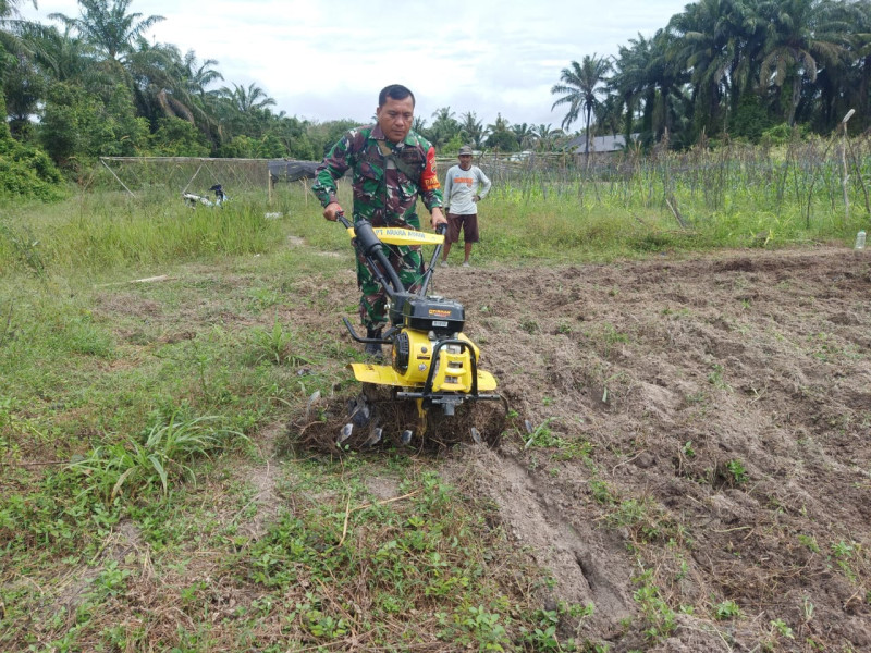 Serka Albinur Lubis Melaksanakan Pendampingan Kepada Petani Cabai