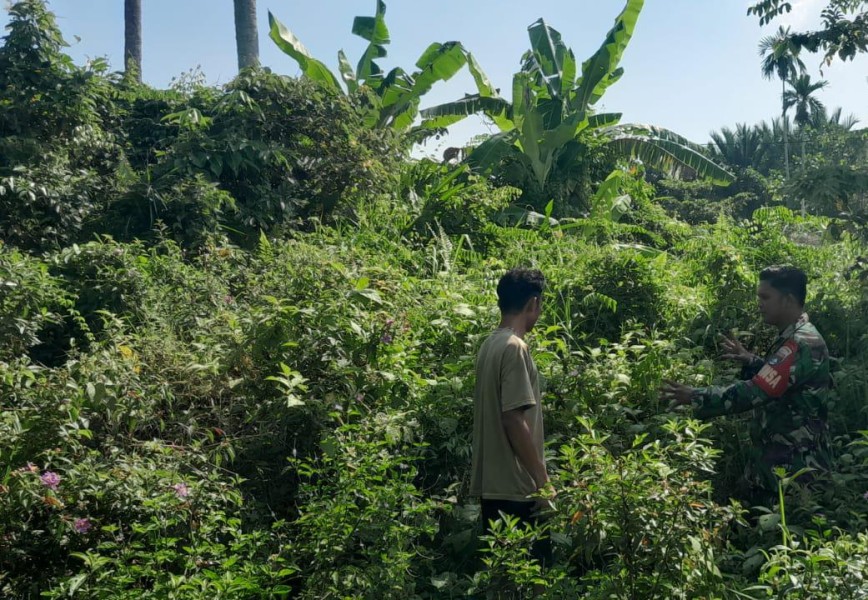 Sinergi TNI dan Masyarakat, Koramil 06/Merbau Perkuat Pengawasan Karhutla di Desa Mekar Delima