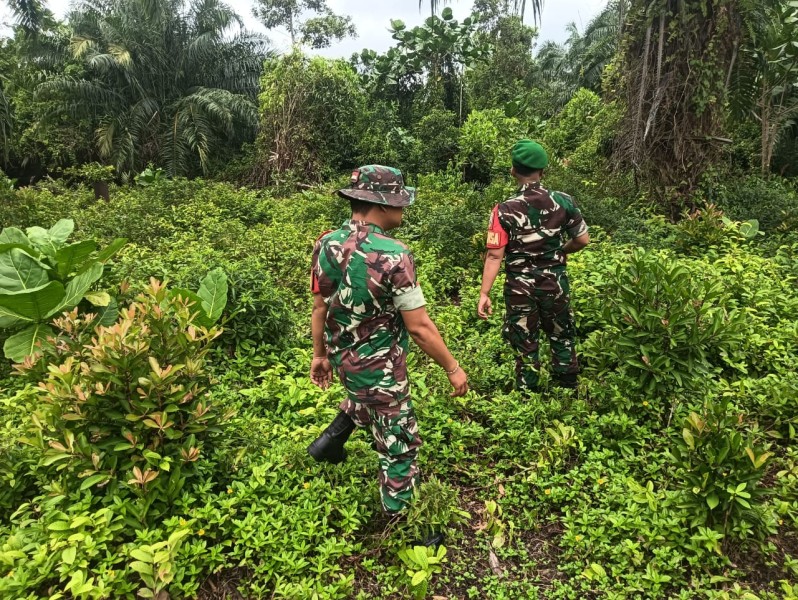 Babinsa Merbau Intensifkan Patroli Karhutla di Tanjung Pisang