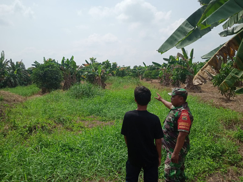 Cegah Karhutla, Babinsa Sertu Sareh Edukasi Warga Bagan Besar tentang Bahaya dan Sanksi