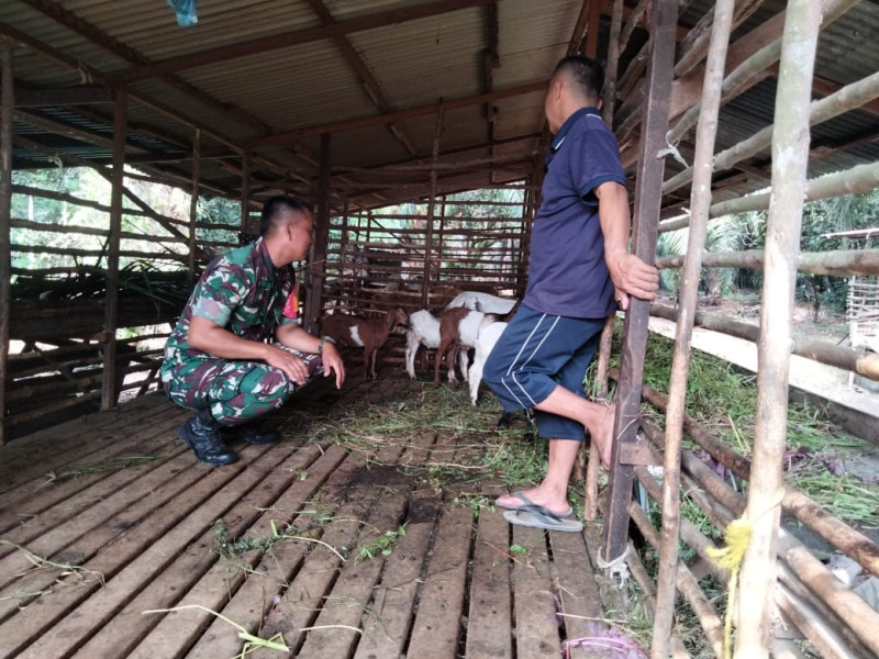 Serda Priyo Sudarmo Ingatkan Warga Dumai Barat Agar Tetap Waspada Terhadap Penyakit Mulut dan Kuku
