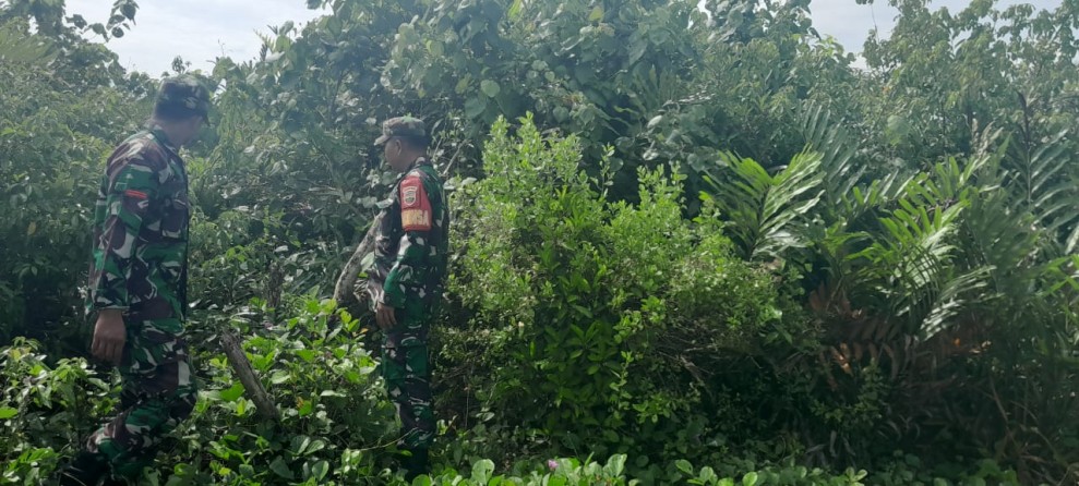 Patroli dan Sosialisasi, Babinsa Aktif Cegah Karhutla