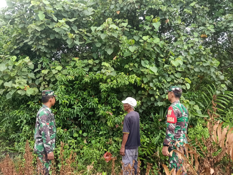 Peran Aktif TNI dalam Pencegahan Karhutla, Babinsa Koramil 06/Merbau Gencar Lakukan Patroli