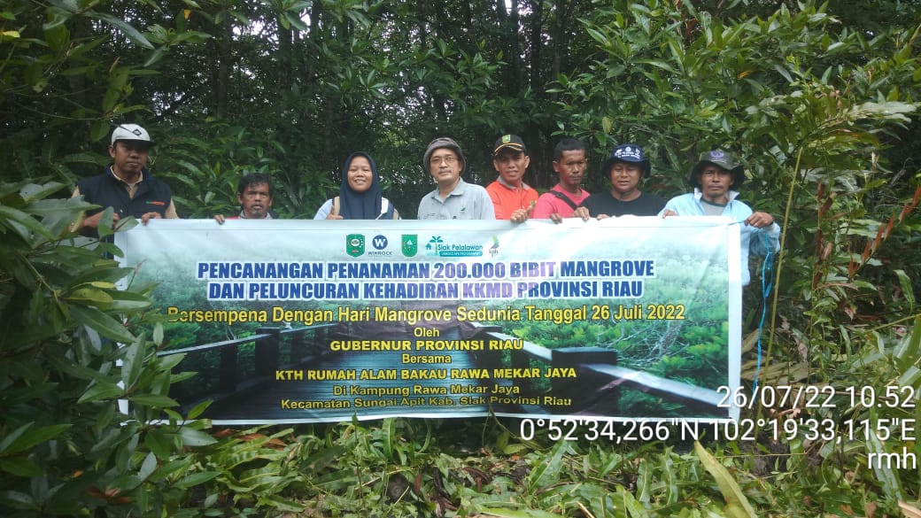 Peringati Hari Mangrove Se-dunia, Kelompok Rumah Alam Bakau Rawa Mekar Jaya Tanam 200 Ribu Batang Bibit Mangrrove