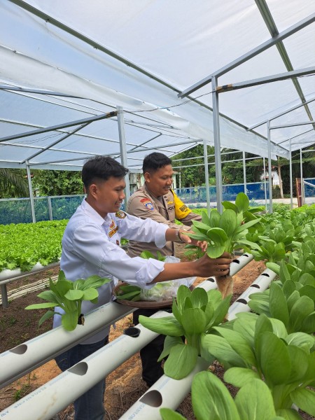 Bhabinkamtibmas Bumi Ayu dan Karang Taruna Kompak Kembangkan Hidroponik Guna Mendukung Ketahanan Pangan Nasion