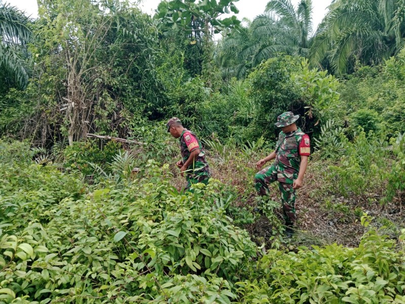 Cegah Dini Karhutla, Babinsa Perketat Patroli di Wilayah Rawan Bakar dan Sampaikan Himbauan