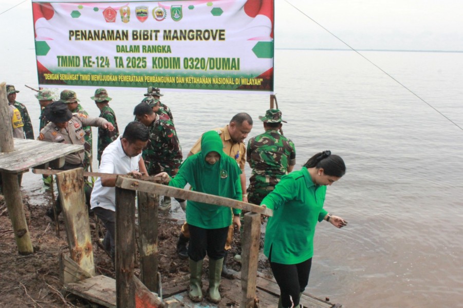 TMMD ke-124 Kodim 0320/ Dumai Tanam Bibit Pohon Mangrove di Pantai Purnama