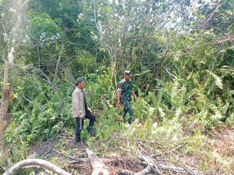 Gerak Cepat Cegah Karhutla, Babinsa Koramil 06/Merbau Turun Langsung Edukasi Warga Desa Mengkirau