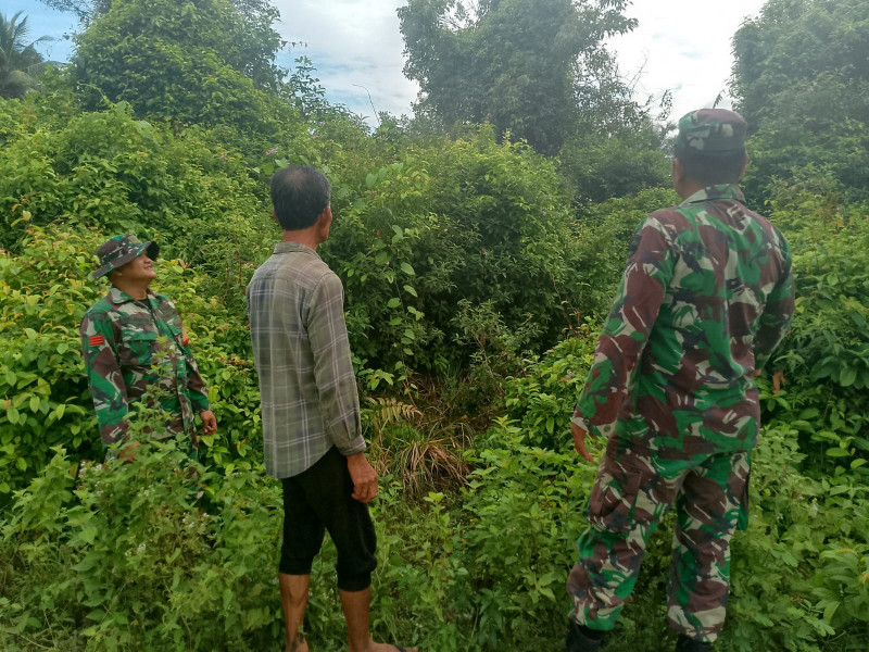 Babinsa Koramil 06/Merbau Tekankan Larangan Pembakaran Lahan di Pulau Merbau