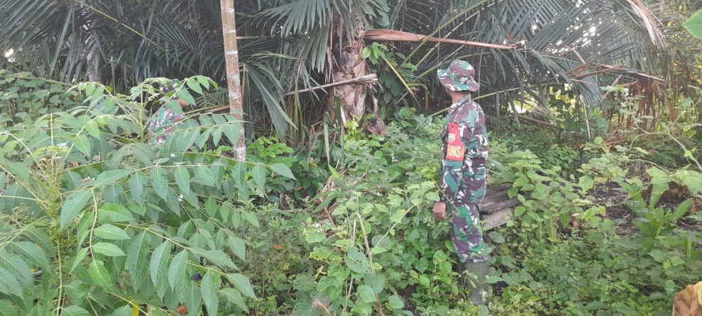 Babinsa Koramil 06/Merbau Rutin Cek Lahan Rawan Karhutla di Desa Tanjung Bunga